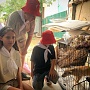 Лапа помощи Приюту на Московском «Добрый след»